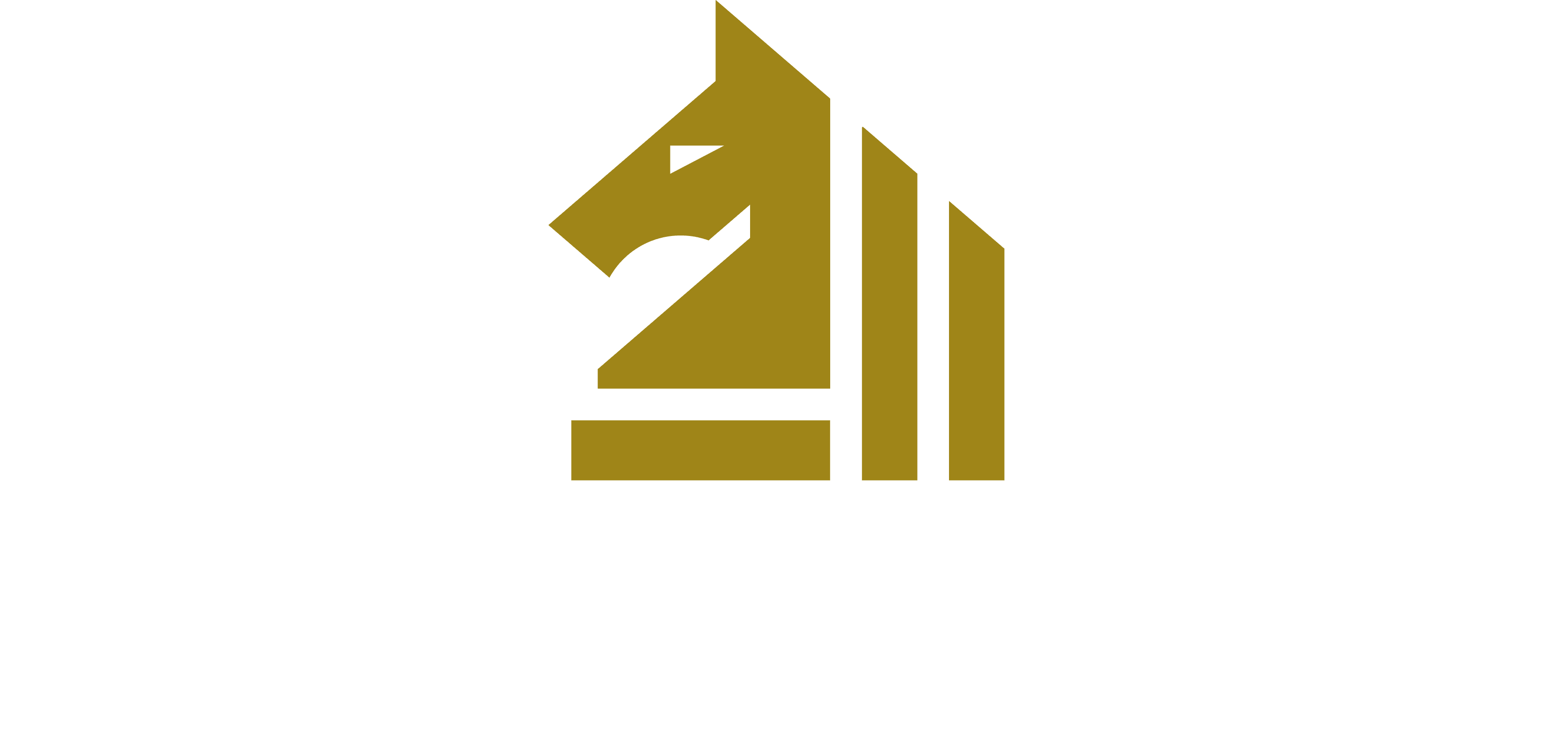 Sire Finance Logo white